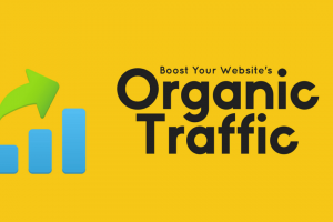 5 Best Ways to Get Organic Traffic to Your Website